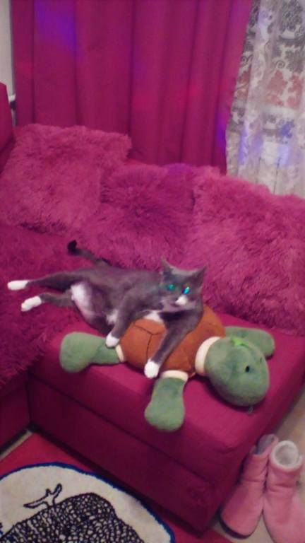 Надя Духанина (111)