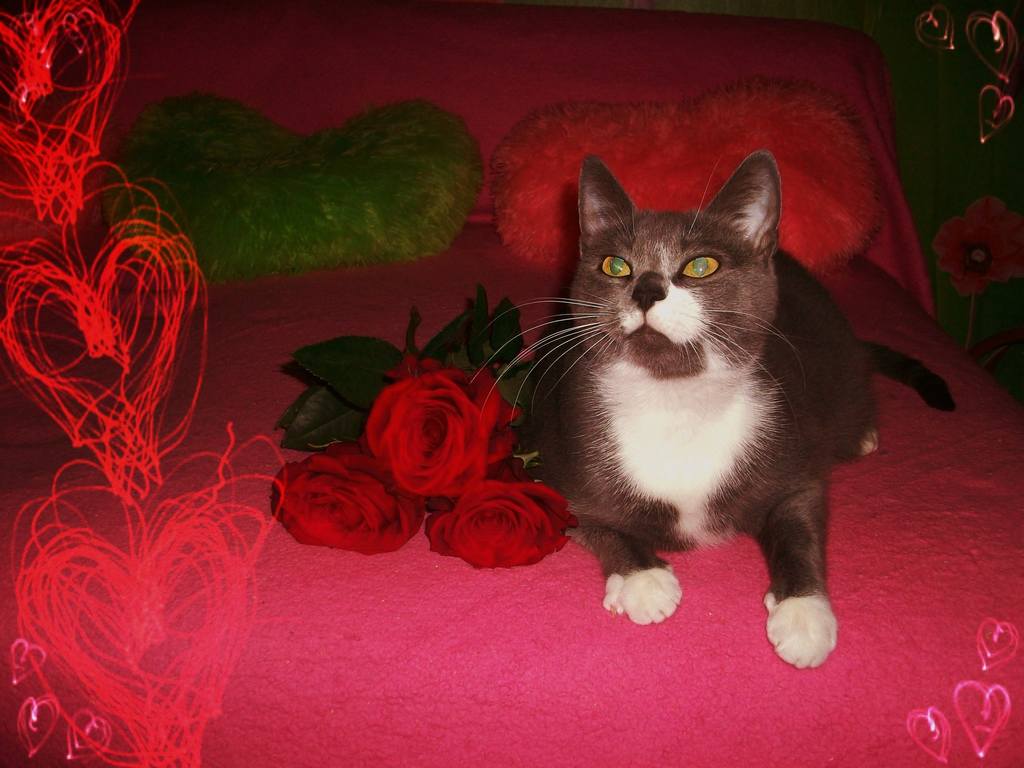 НАДЕЖДА ДУХАНИНА (30)