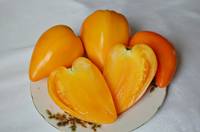 image (6)