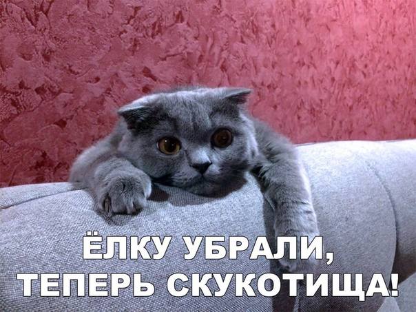 http://images.vfl.ru/ii/1552164433/665696d7/25699164_m.jpg