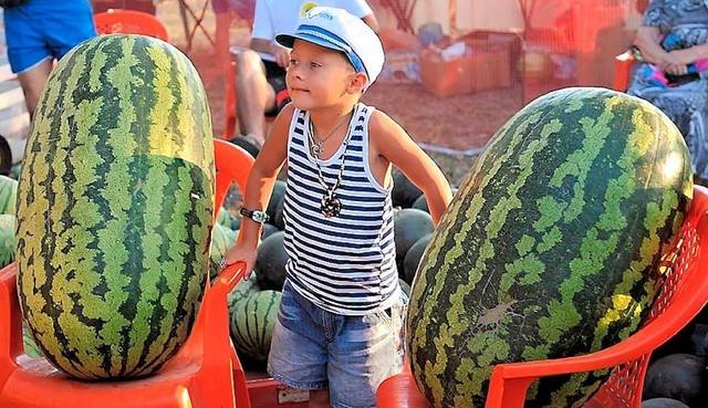 на бахче 3 копия