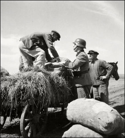 VFL.RU - ваш фотохостинг