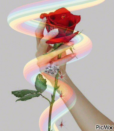 rosa1
