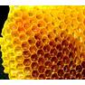 honeycomb