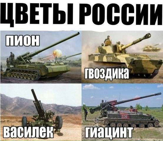 цветы