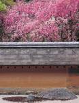 Sanet.cd The Art of the Japanese Garden 8