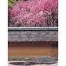 Sanet.cd The Art of the Japanese Garden 8