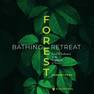 Sanet.st.Forest Bathing Retreat - Hannah Fries 4