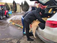 VFL.RU - ваш фотохостинг
