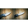 lanner1b
