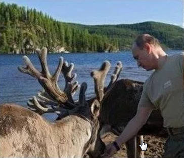 VFL.RU - ваш фотохостинг