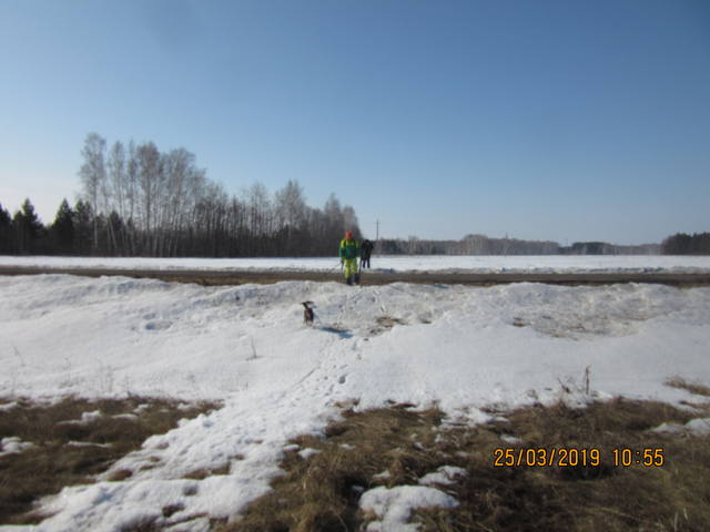 VFL.RU - ваш фотохостинг