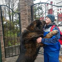 VFL.RU - ваш фотохостинг