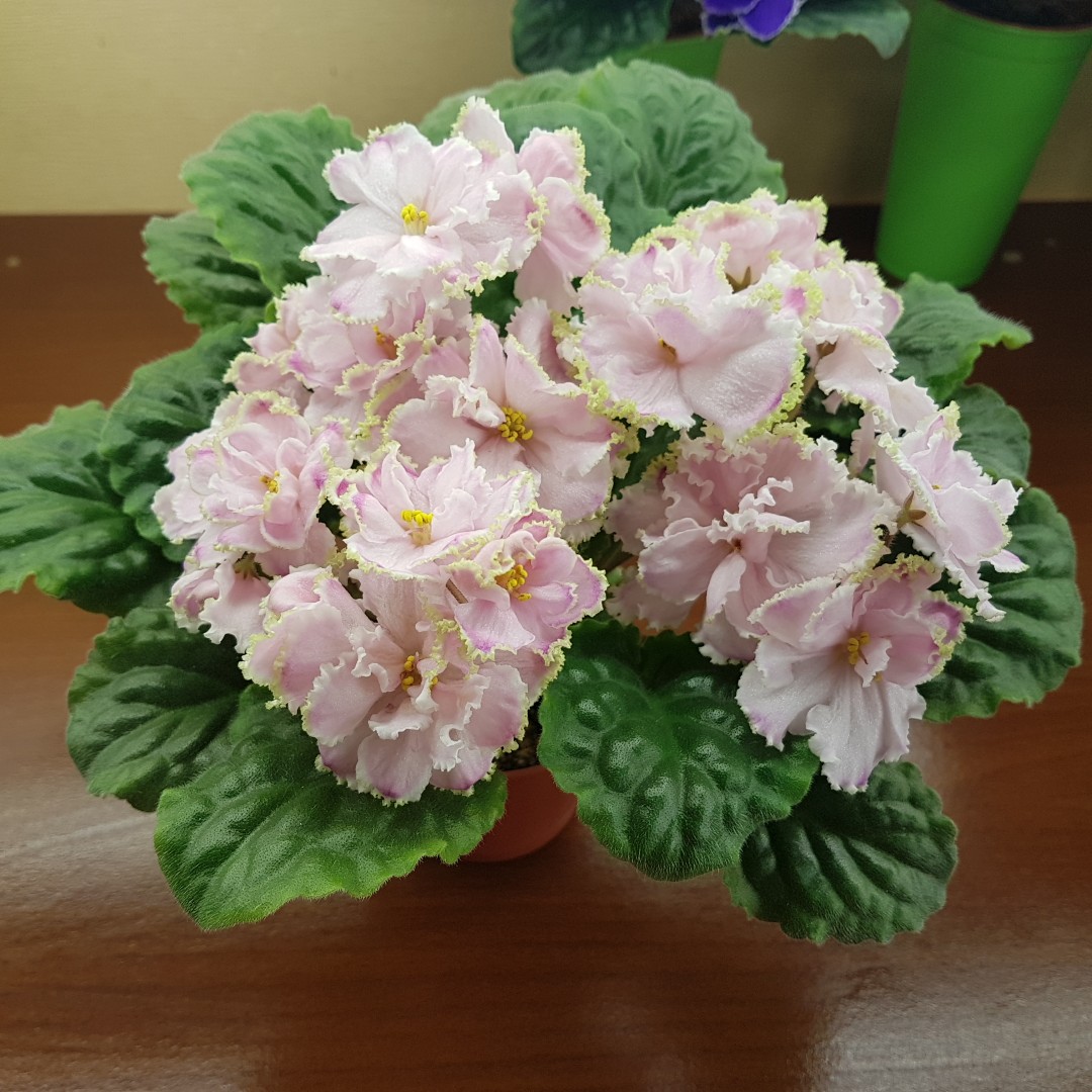 hTBZ6aEum8E