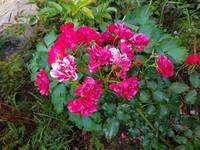 VFL.RU - ваш фотохостинг