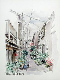 s07 kikuzakaroji l