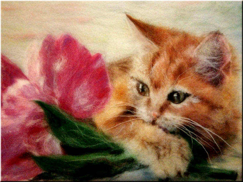 Картина из шерсти котик