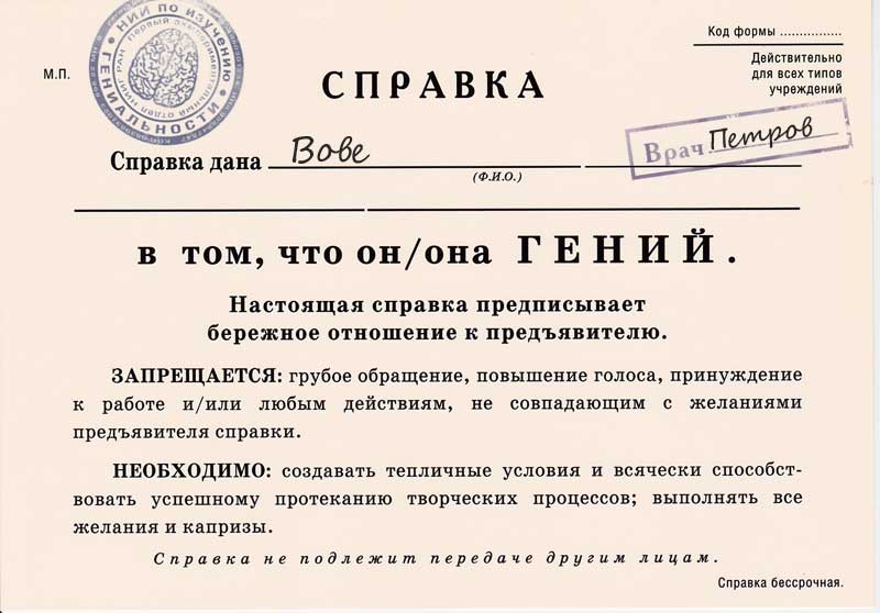 Справка прикол картинки, днем лета