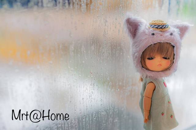 VFL.RU - ваш фотохостинг