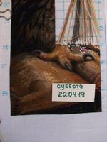 VFL.RU - ваш фотохостинг