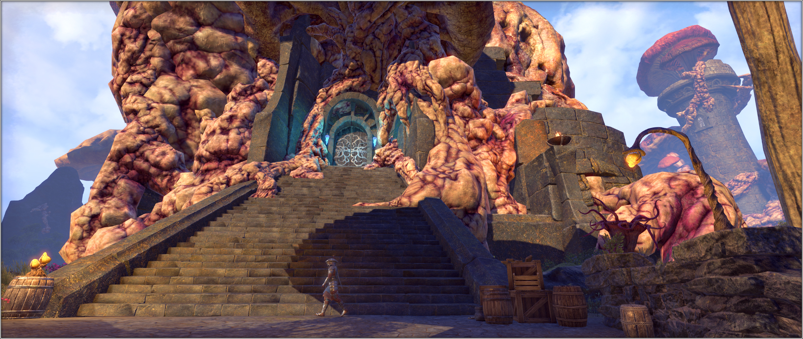 Elder Scrolls Online Screenshot 2018.08.14 - 11.45