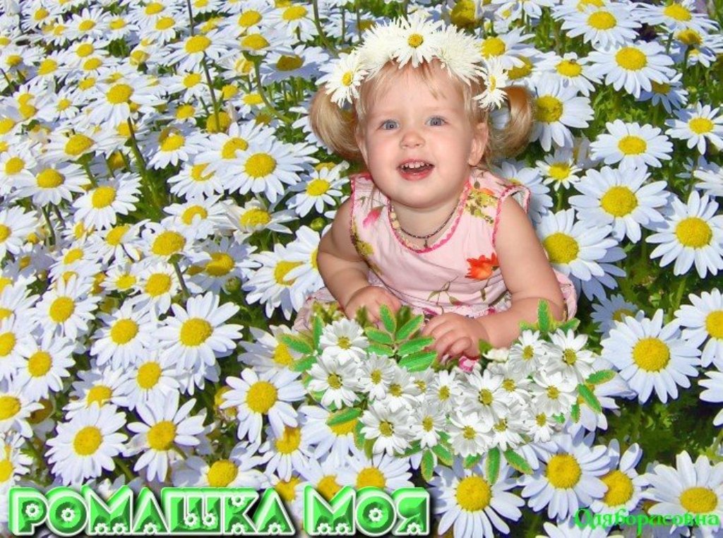07 Oliga53 моя ромашка