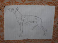 VFL.RU - ваш фотохостинг