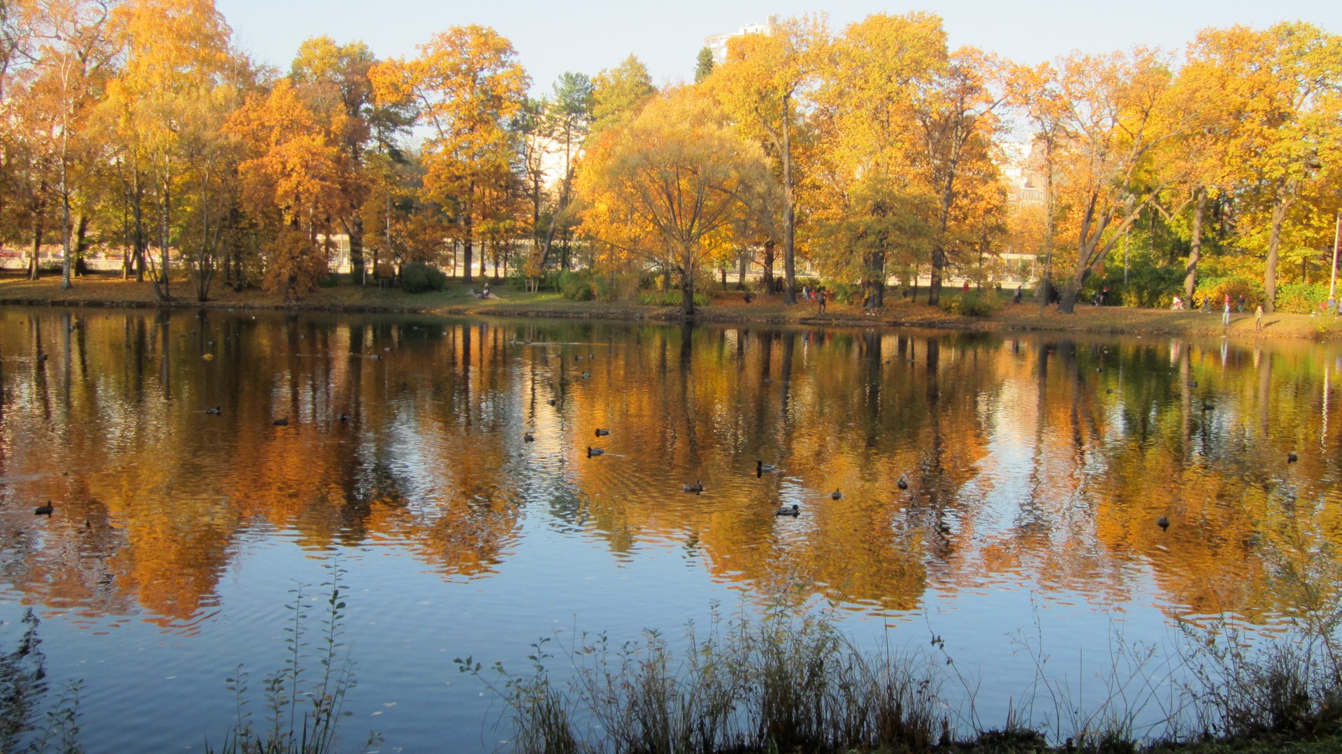 осенний парк над водой