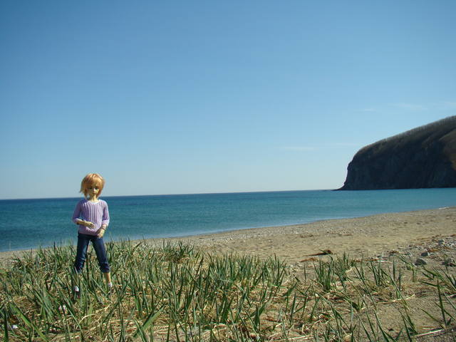 VFL.RU - ваш фотохостинг