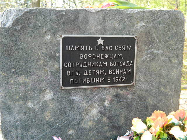 VFL.RU - ваш фотохостинг VFL.RU - ваш фотохостинг