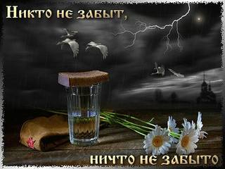 image (28)