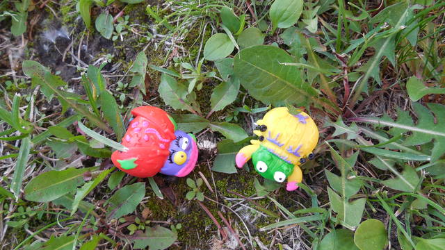 VFL.RU - ваш фотохостинг