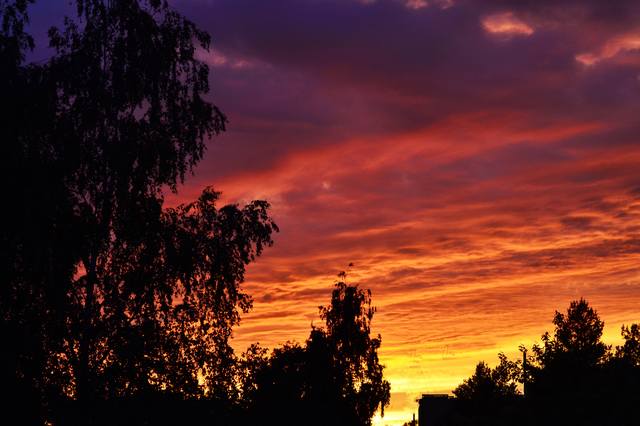 VFL.RU - ваш фотохостинг