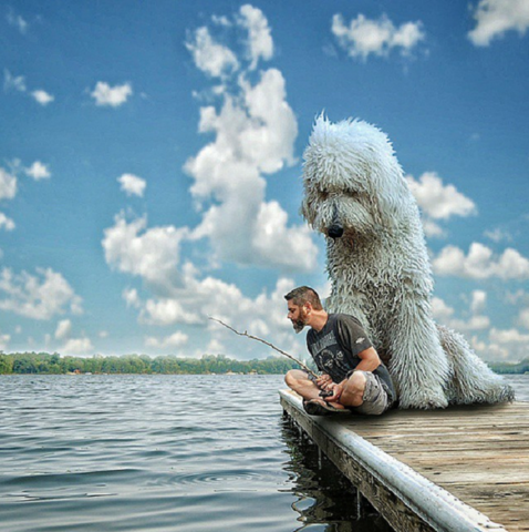 Juji-the-dog-Get-Leashed-Mag