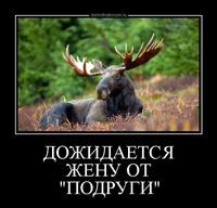 VFL.RU - ваш фотохостинг
