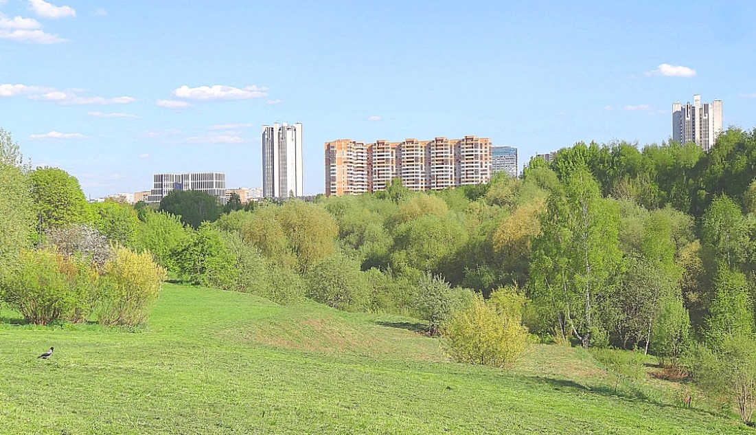 В парке 50-летия Октября (Раменском). Фото Морошкина В.В.