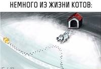 Z7stLI4agvQ