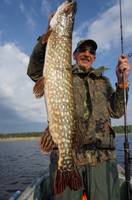 VFL.RU - ваш фотохостинг