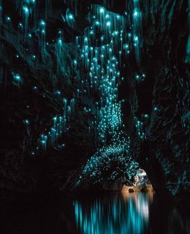 Великолепная пещера Вайтомо в Новой Зеландии.