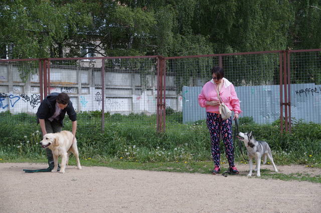 Форум собаководов