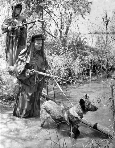 на западной границе СССР 20 июня 1941 года