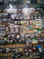 VFL.RU - ваш фотохостинг