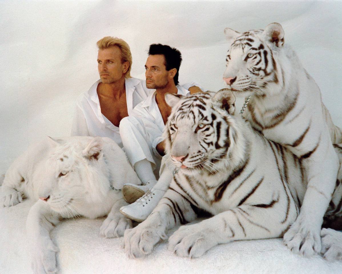 Siegfried Roy tigers