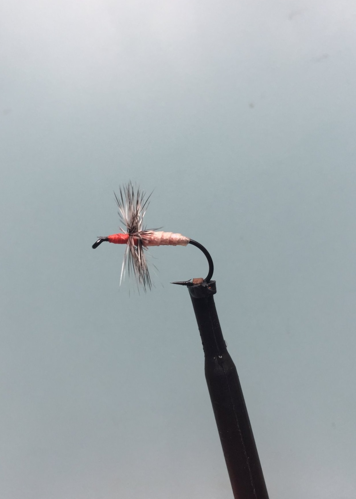 1 1