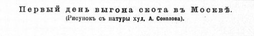 26745538_m.png