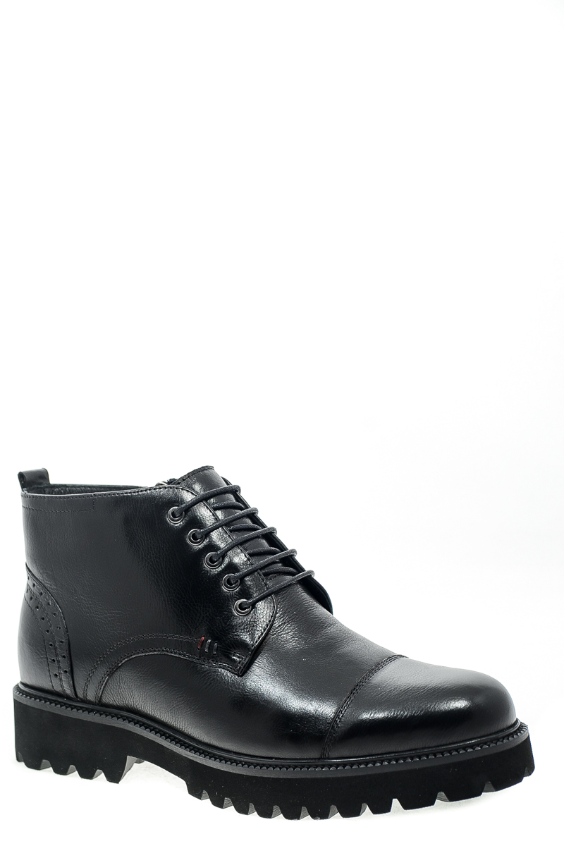 Anemone HJ626R-44-165