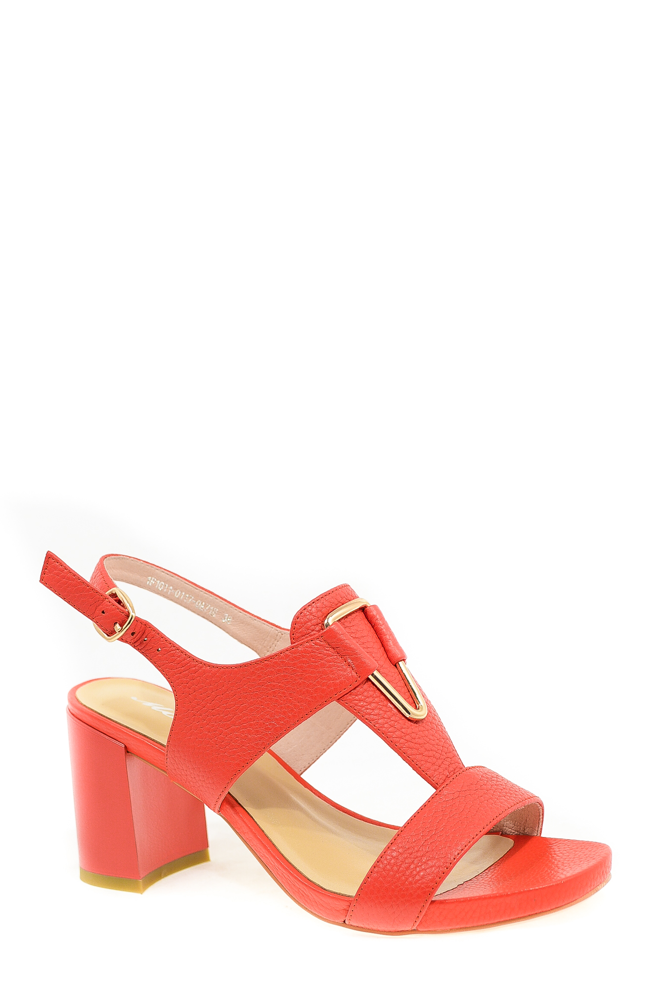 Molka 1F1011-0117-0A71H