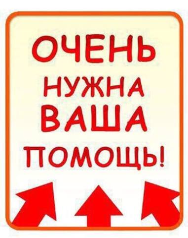 VFL.RU - ваш фотохостинг
