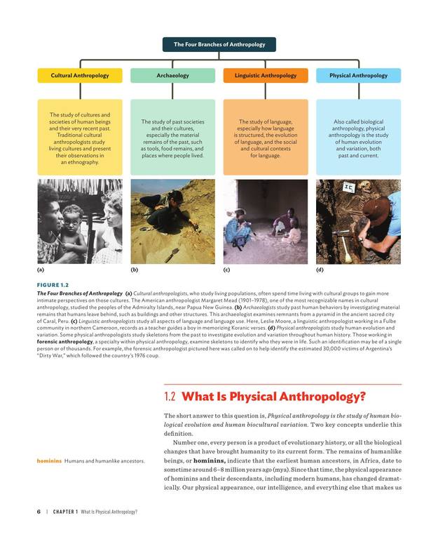 Sanet.ws Our Origins Discovering Physical Anthropology 39