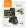 Sanet.ws Our Origins Discovering Physical Anthropology 45